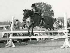 Screenshot 2017-04-25 14.39.47