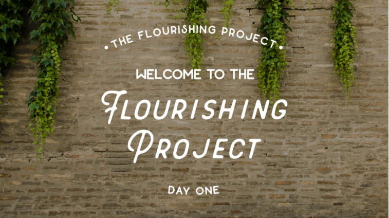 Screenshot 2017-04-29 19.58.19